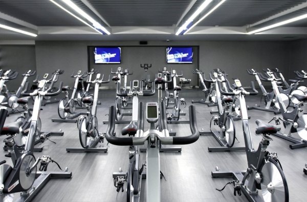 GIMNASIO DIR gimnasio dir: