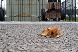 Alquiler de piso en Barcelona