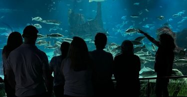 Uno de los espacios de L'Aquàrium donde los visitantes pueden ver los peces en acción. Foto via L'Aquàrium