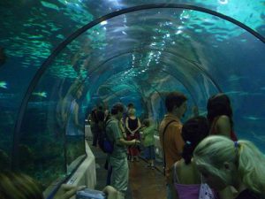 Aquarium de Barcelone