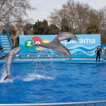 zoo_de_barcelona