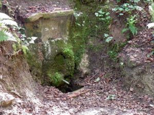 Font de Can Gordi - Collserola