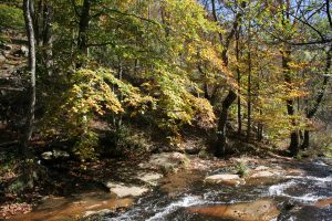 Parque Natural Montseny