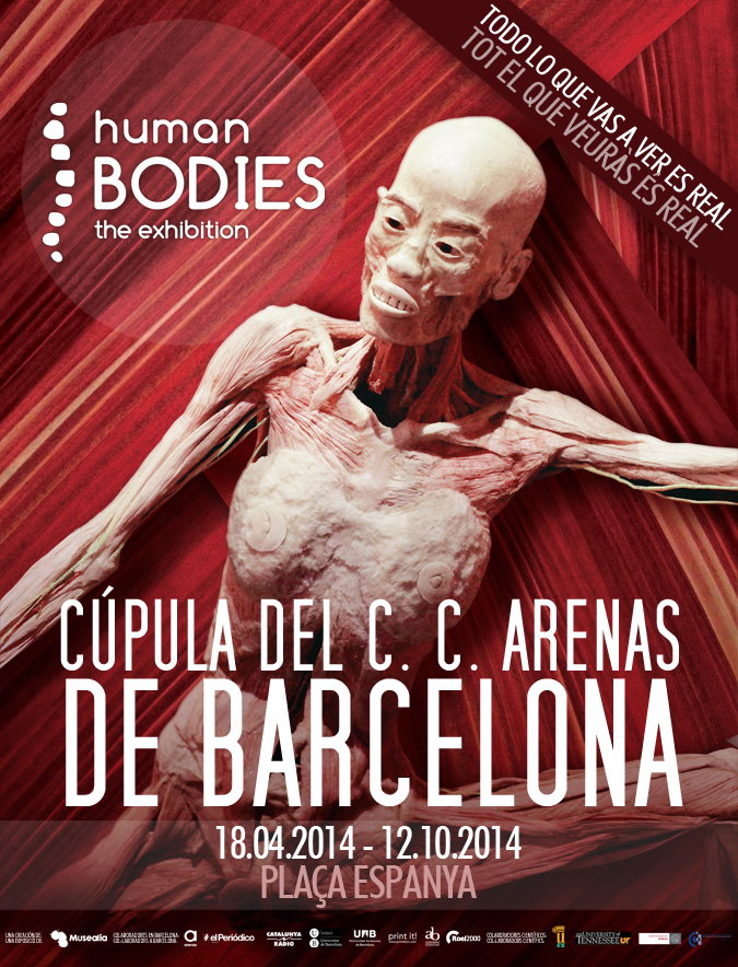 Exposición Human bodies