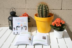 the chatbook
