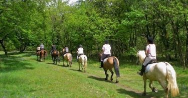 Alquiler de piso en Barcelona