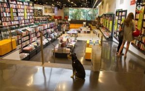 librerias en l'eixample de barcelona