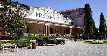 Visita bodegas Freixenet
