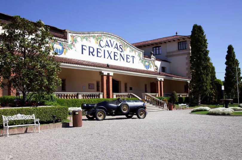 Visita bodegas Freixenet