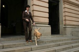 los perros en el metro de barcelona