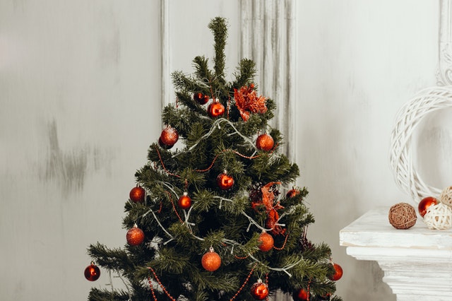 Uma imagem que destaca uma bela árvore de natal