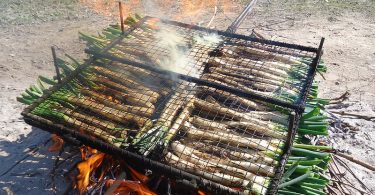calçots barcelona, comer calçots en barcelona
