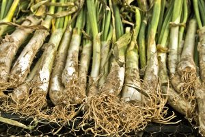 calçots barcelona, comer calçots en barcelona