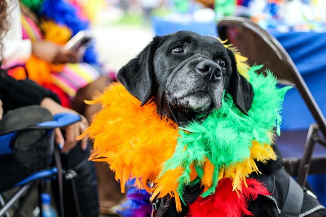 cuando se celebra el carnaval