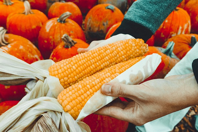 alimentos ecologicos barcelona