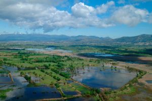 Planear unas vacaciones en Catalunya, parc del aiguamolls de l'empordà
