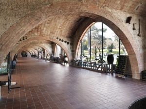 Bodegas antiguas en Barcelona II