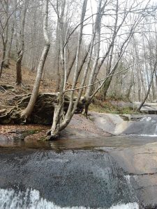 rutas por el Parque Natural del Montseny