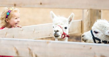 visitar el zoo de barcelona,