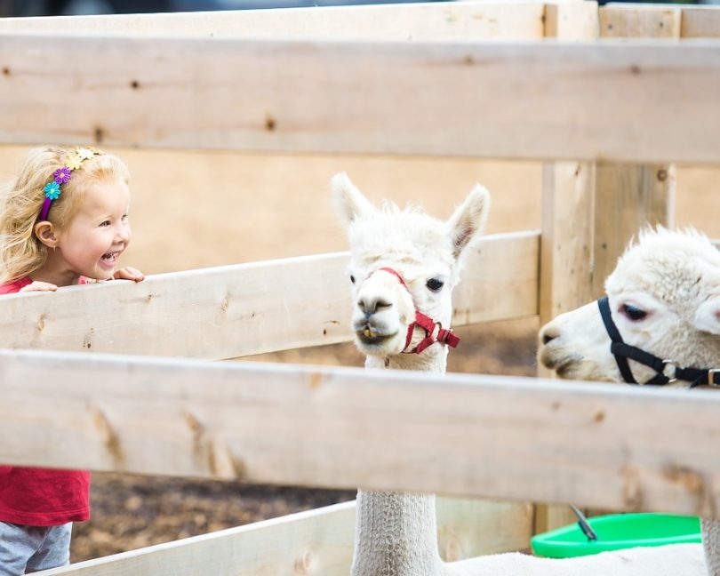 visitar el zoo de barcelona,