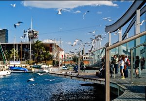 imagen del puerto con gaviotas volando