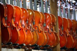 aprender a tocar el violín en poble nou, clases de violín barcelona