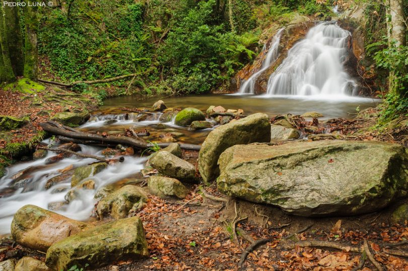 rutas montseny ninos