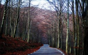 rutas montseny ninos