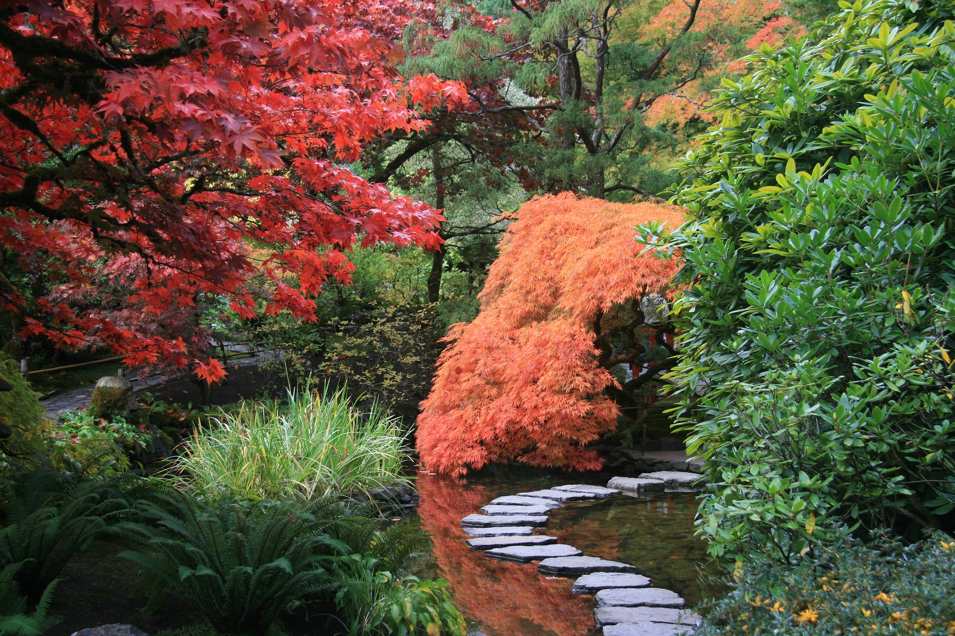 Cómo hacer un jardín zen para relajarte y meditar en casa