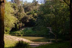 Alquiler de piso en Barcelona