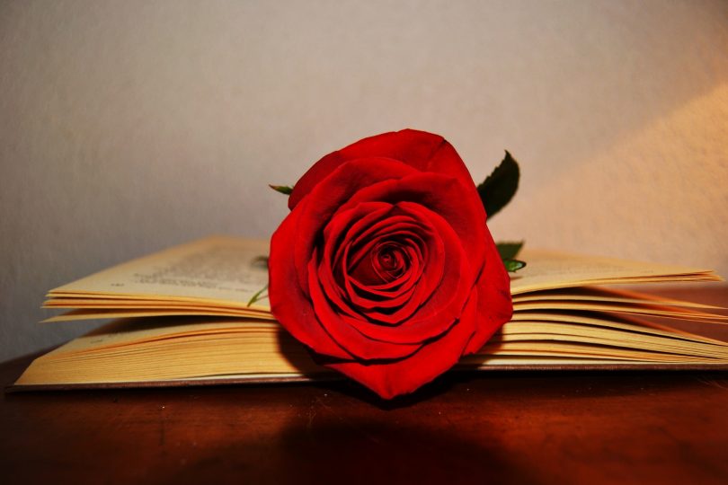 Resultado de imagen de sant jordi 2018
