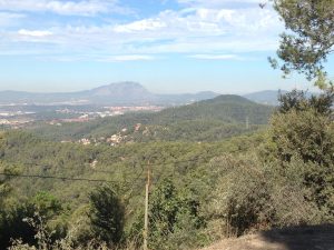 Alquiler de piso en Barcelona