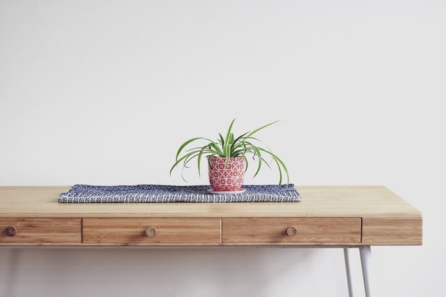 mesa auxiliar con maceta y planta encima