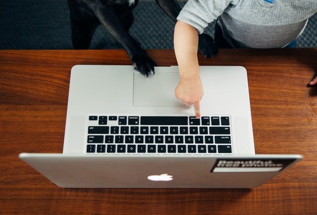 mano de perro y bebé frente a un ordenador portátil