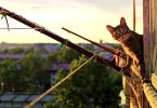 terraza comunitaria de uso privativo