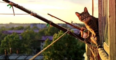 terraza comunitaria de uso privativo