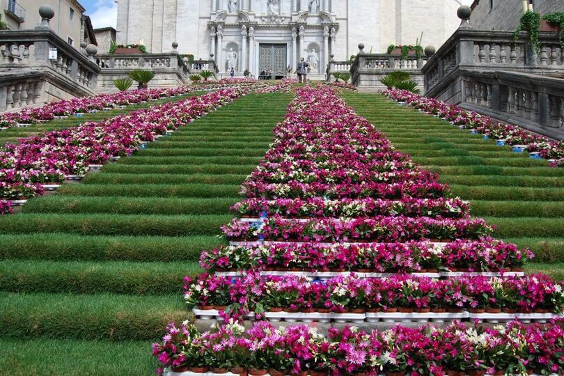 Catedral de Santa María adornada con flores